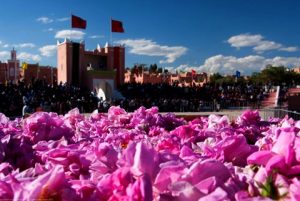 Tour de 12 días por Marruecos