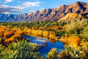 tour ao deserto desde Ouarzazate