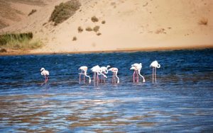 Viagens Marrocos