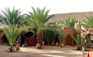 Excursão Ouarzazate deserto do Sahara de 4 dias